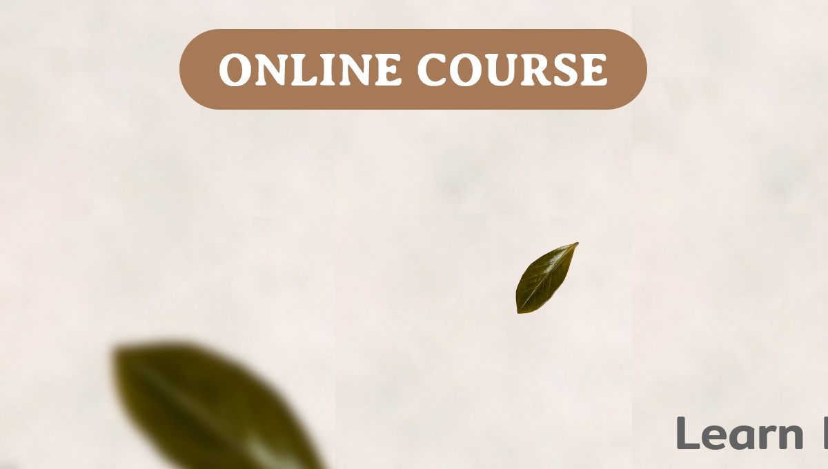 Activated Charcoal Soap for Deep Skin Detox